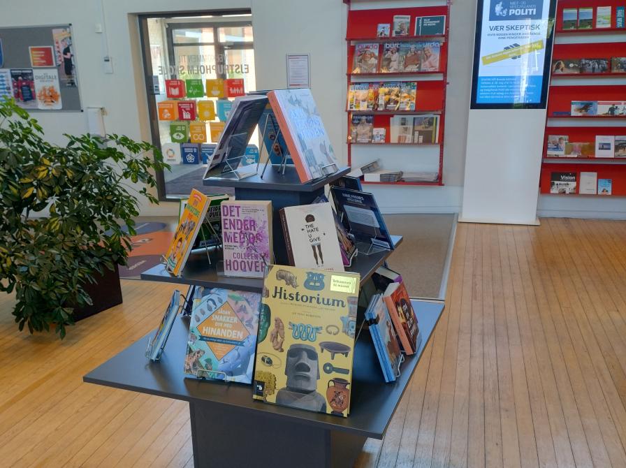 Billede af Ejstrupholm bibliotek